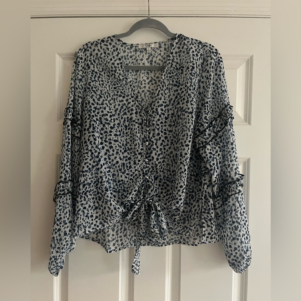 Cute sheer top